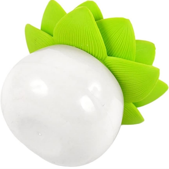 💙 4/$20 Lotus ToothPick Holder - Picture 3 of 5